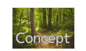 Concept