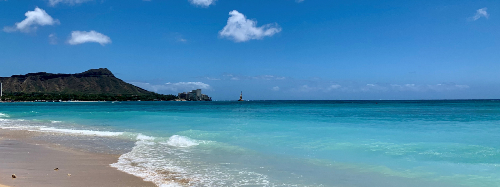 ブログ始めます